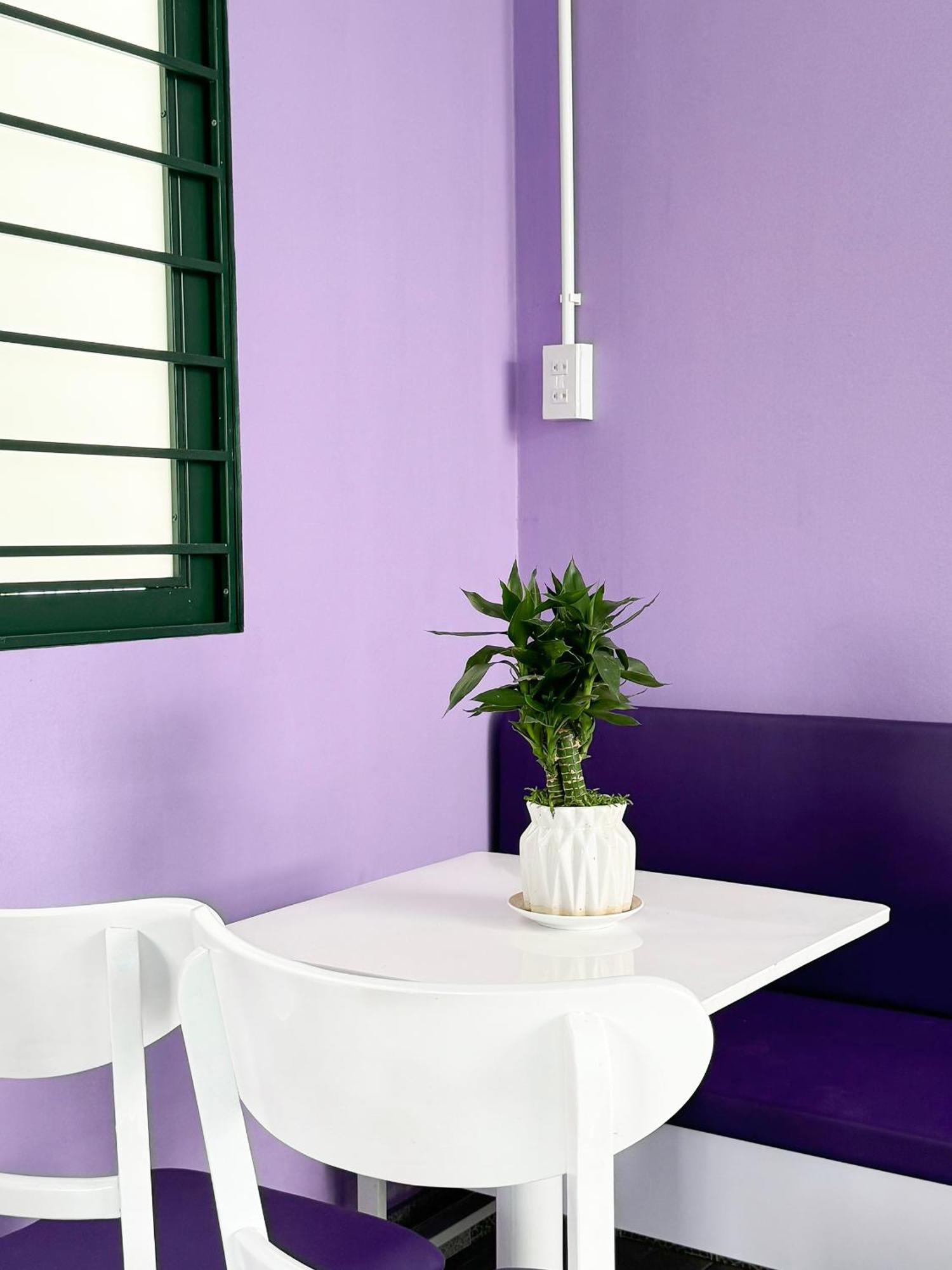 Plumeria Homestay Thon Kim Long Экстерьер фото